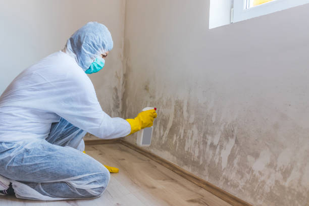 Licensed Attic Mold Remediation service in Richardsville, VA - Mold Remediation HQ
