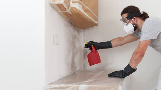 Professional Attic Mold Remediation technician working in Richardsville, VA
