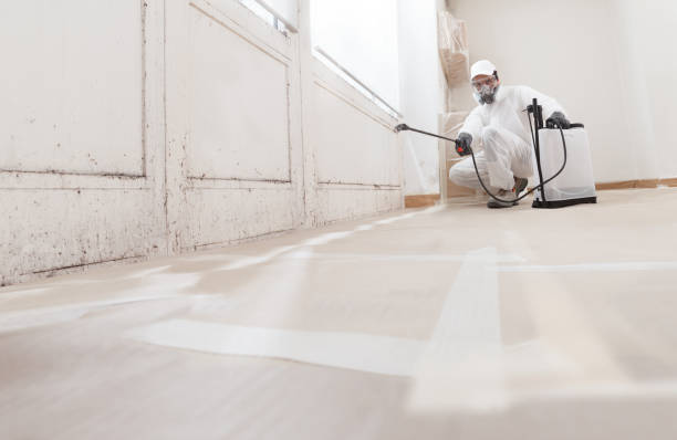 24/7 Emergency Attic Mold Remediation experts in Richardsville, VA