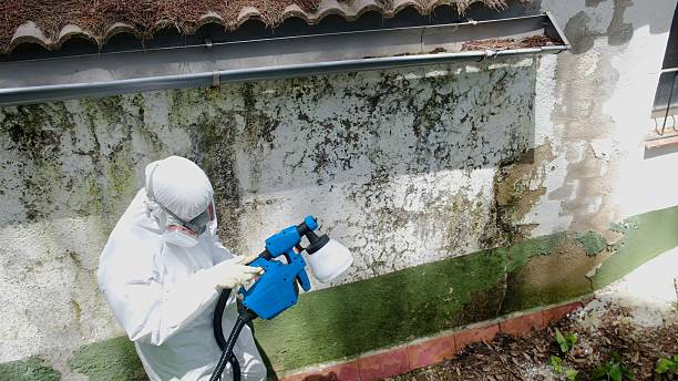 Top rated local Attic Mold Remediation specialists in Richardsville, VA